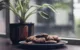 cookies-coco-gluten-free