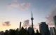 toronto-immigration