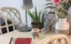 DIY-vintage-table