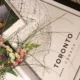 impots-ontario-french