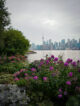 Vue sur la skyline de Toronto et la Tour CN encadrée par des fleurs violettes éclatantes depuis le bord de l'eau aux îles de Toronto.