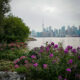 Vue sur la skyline de Toronto et la Tour CN encadrée par des fleurs violettes éclatantes depuis le bord de l'eau aux îles de Toronto.