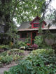 Charming wooden cottage surrounded by lush gardens and evergreen trees on Ward's Island, Toronto
