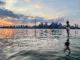 paddle-night-toronto-islands