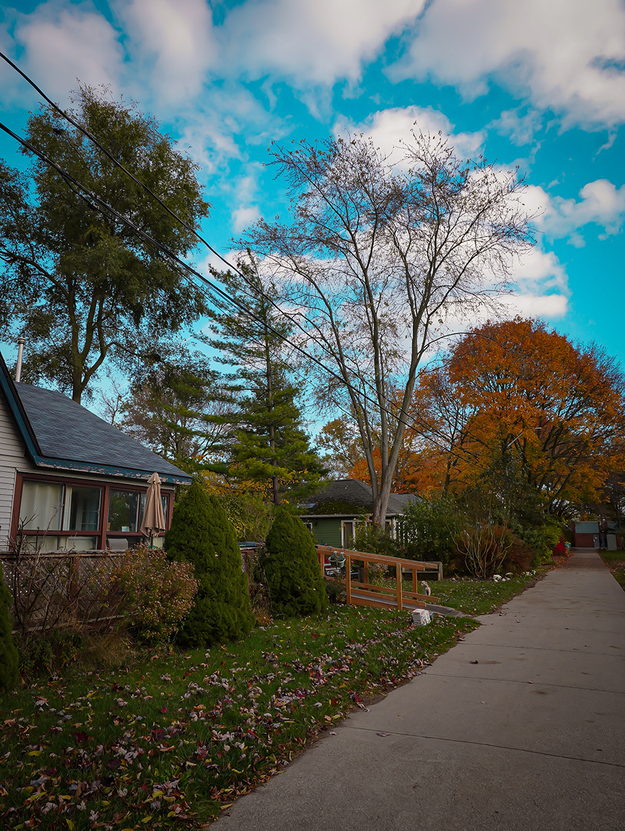 activities-toronto-fall