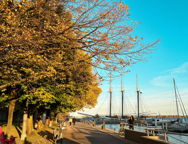 où-voir-couleurs-automne-toronto-sans-voiture