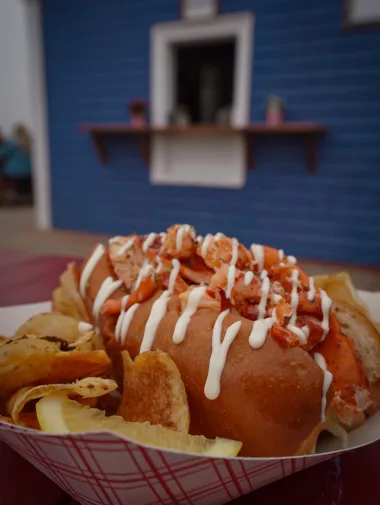 Lobster-roll-Nova-scotia