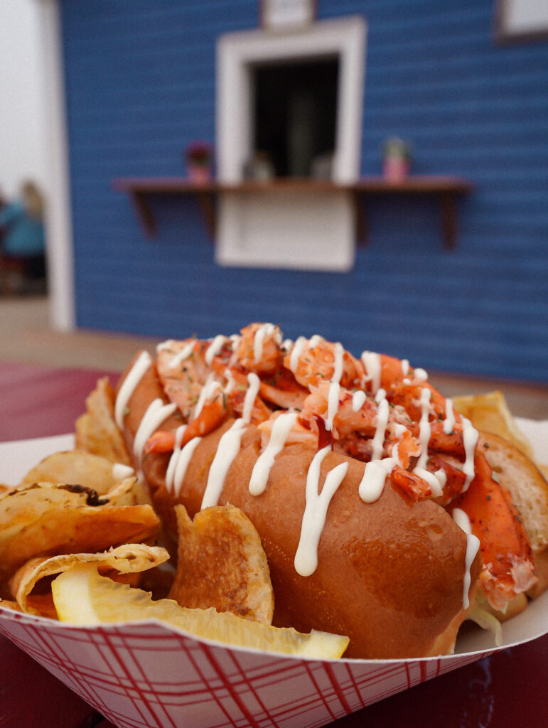 Lobster-roll-Nova-scotia