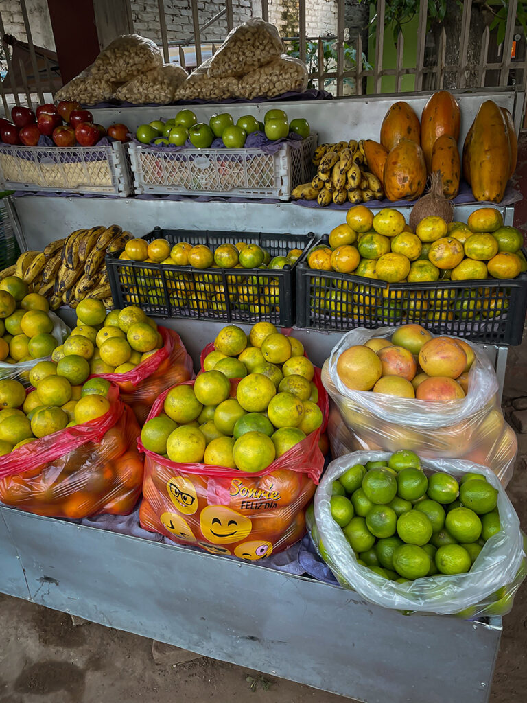 Dcouvrez 9 spcialits culinaires  goter en Bolivie - Fringinto