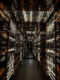 speakeasy-toronto