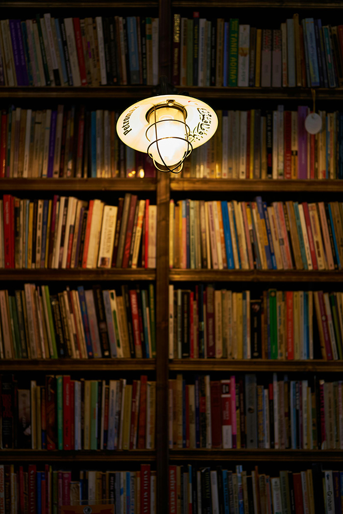 free-things-toronto-library