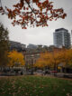 activites-automne-toronto