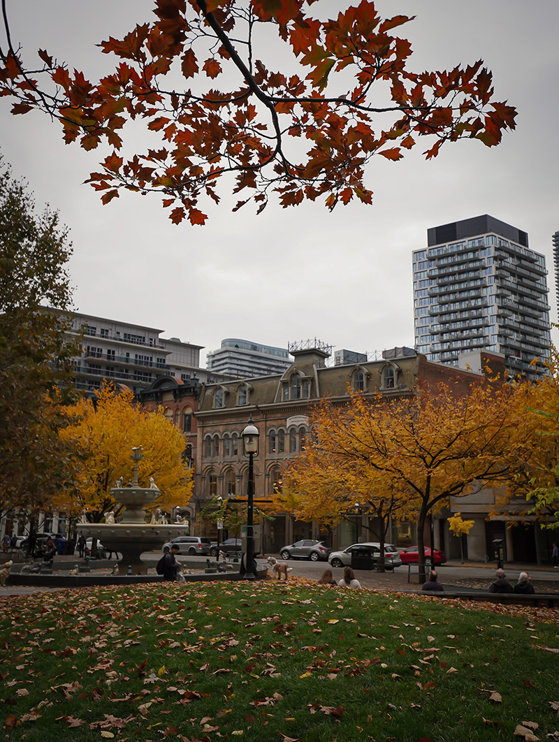 activites-automne-toronto