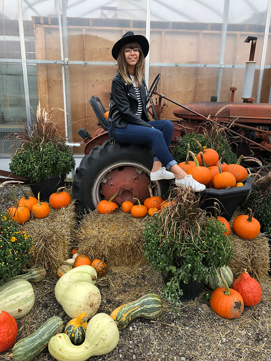 activities-fall-near-toronto