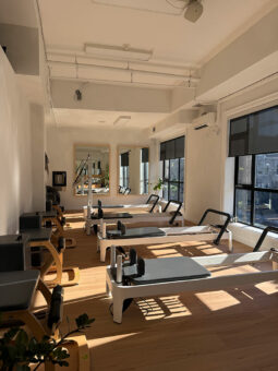 best-reformer-toronto