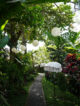 review-house-of-home-bali