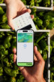 Utilisation de la carte virtuelle Wise sur iPhone pour un paiement sans contact Apple Pay
