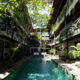 piscine exterieure et vegetation tropicale au coeur de l hotel outpost ubud