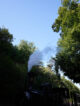 Locomotive à vapeur du Train de l'Ardèche crachant de la fumée blanche au milieu des arbres
