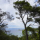Point de vue sur une crique de l'île de Porquerolles depuis les sentiers de randonnée